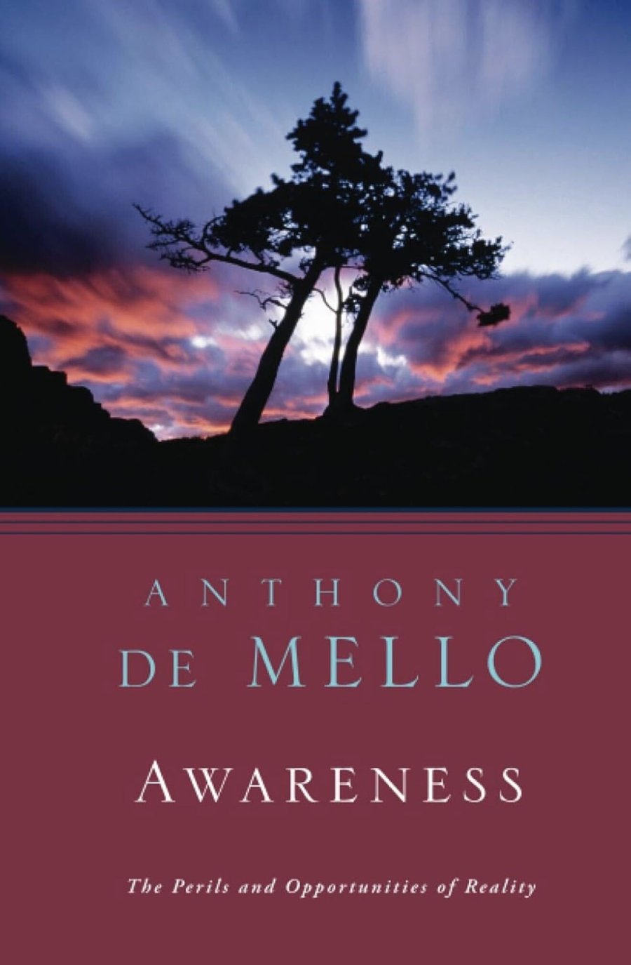 Cover of Awareness: The Perils and Opportunities of Reality by Anthony de Mello